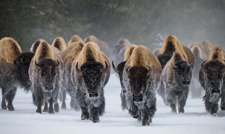 湖南聚情酒情有限公司轮播图2